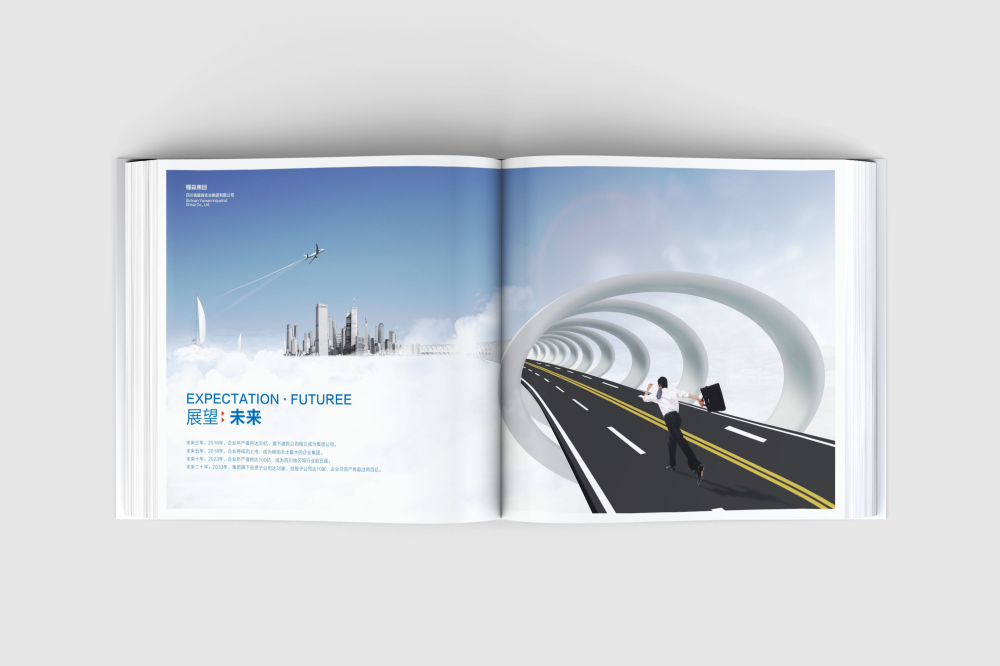 狮子山区画册设计